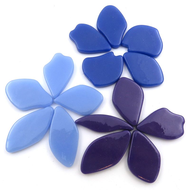 Glass Shapes and Petals