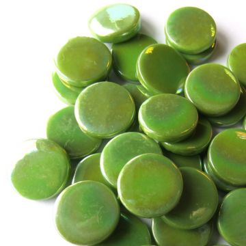 PRound Pearlised Acid Green Bis91: 100g