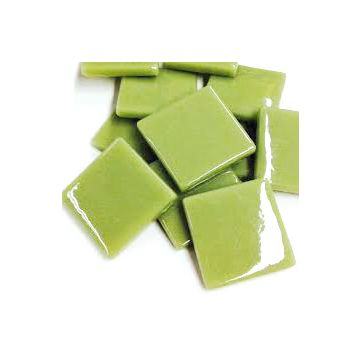 PDV Light Olive 044: 100g