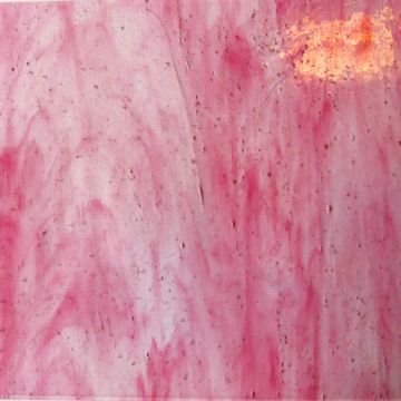 Fuchsia Wispy (052)  