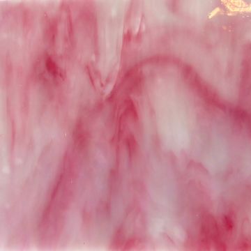 Peony (52MA)  