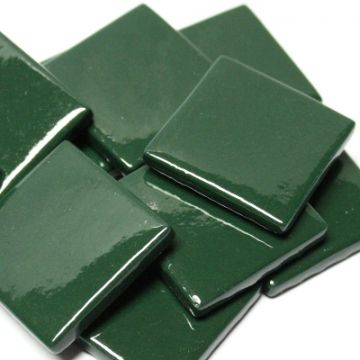 PDV Dark Green 087