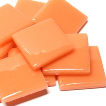 PDV Apricot 103: 100g