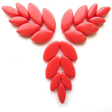 106 Watermelon Petals