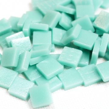 12mm Matte Pale Teal 013: 100g