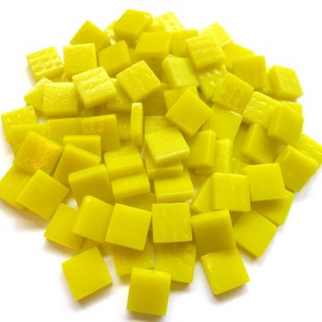 12mm Matte Acid Yellow 028: 100g