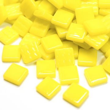 12mm Acid Yellow 028: 100g