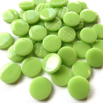 Penny Rounds: Mint Green 003: 100g