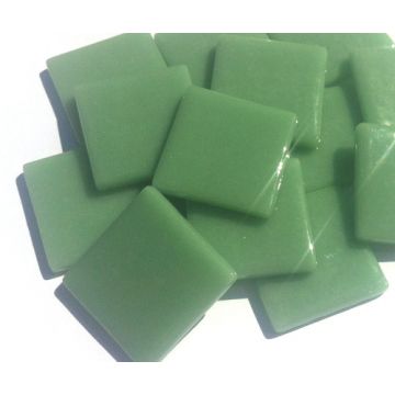PDV Meadow Green 019: 100g