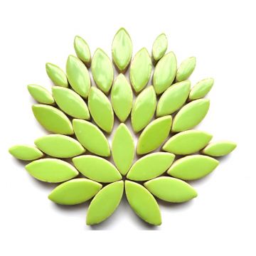 Mini Petals: H143 Kelly Green: 50g