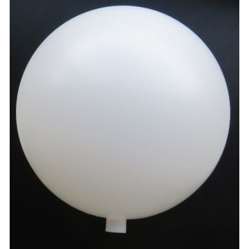 Gazing Ball- Acrylic