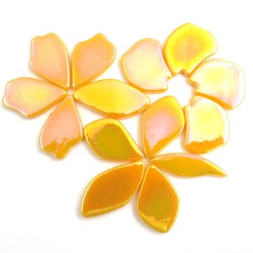 Pearlised Fallen Petals: Goldenrod Bis44P