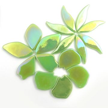 Pearlised Fallen Petals: Mint 003: 50g