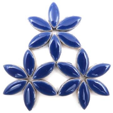 H191 Delphinium 25mm Petal: 50g