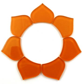 Medium Fishscale: Tangerine H029