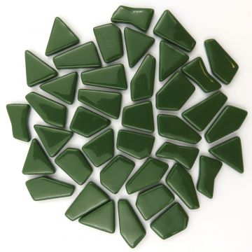 Snippets: Evergreen Bis118: 100g
