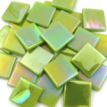 PDV Iridised  Acid Green Bis91 100g