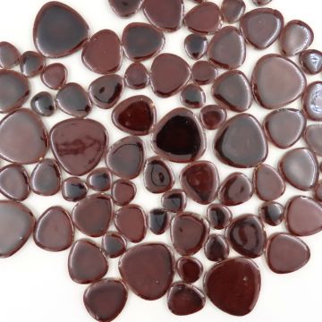 Cocoa Gloss Z23 (loose) disc