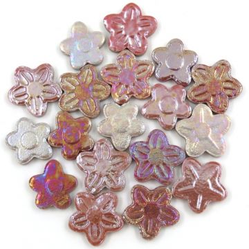Iridescent Flower Mix: Freesia (50g)