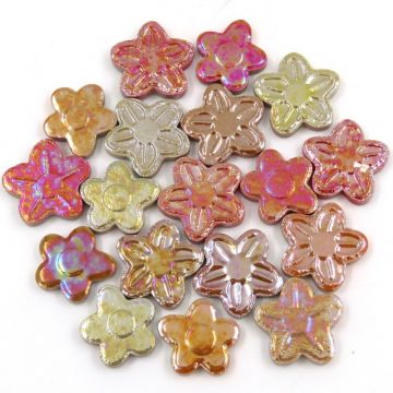 Iridescent Flower Mix: Lantana (50g)