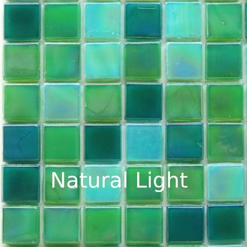 Sea Celery WJ25/26/22