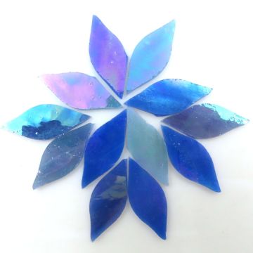 Small Petals: Hydrangea