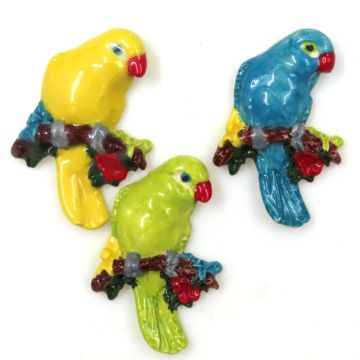 Parakeets (1 piece, colours vary)