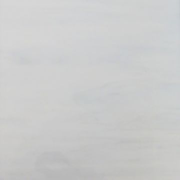 Light Blue 339-1s PG 1