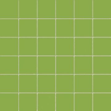50mm CeSi: Kiwi (Matt) 9 tiles
