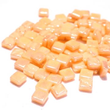Pearlised Blush 102P (disc)