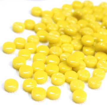 Calypso Mix