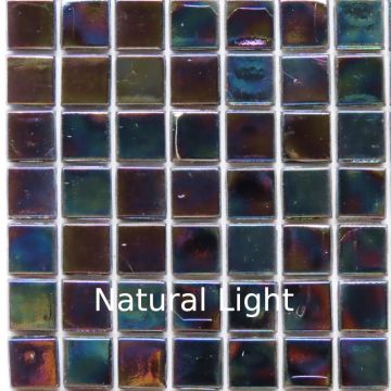 Black Abalone WJ48: 25 tiles