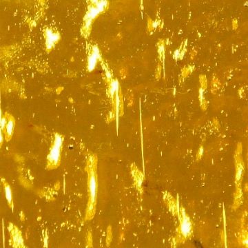 AR17 Gold Wavy