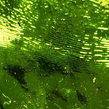 AR27 Seaweed