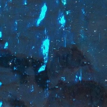 AR45 Kingfisher (disc)