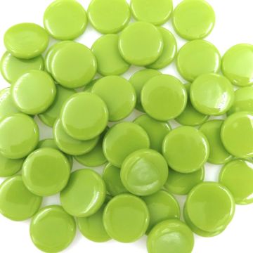 PR Acid Green Bis91: 100g