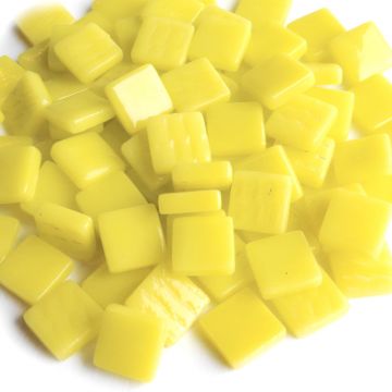 12mm Acid Yellow 028: 100g