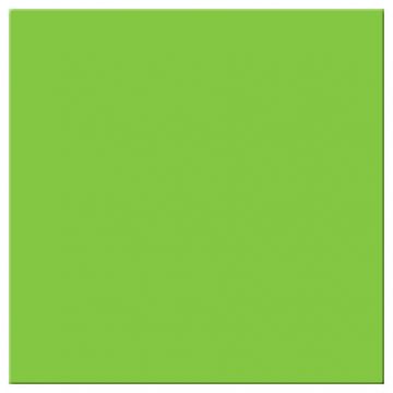 17900 Macaw Green