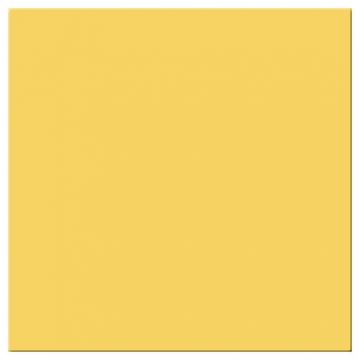 19950 Golden Yellow