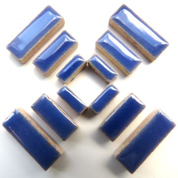 H191 Delphinium: 50g