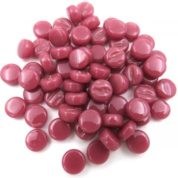 Calypso Mix