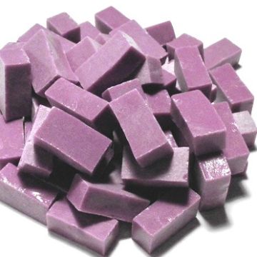 Plum #4: 6008