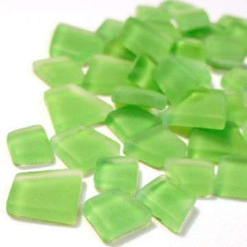 Frosted Lime (disc): 50g