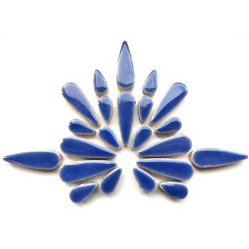 H191 Delphinium