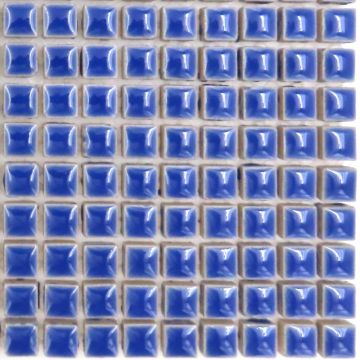 Delphinium H191