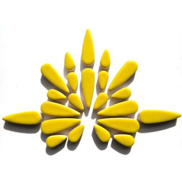 H71 Citrus Yellow: 50g