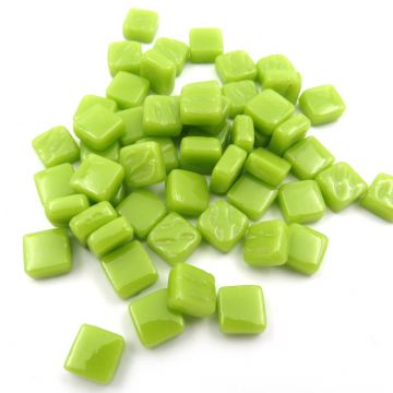 8mm Acid Green Bis91: 50g