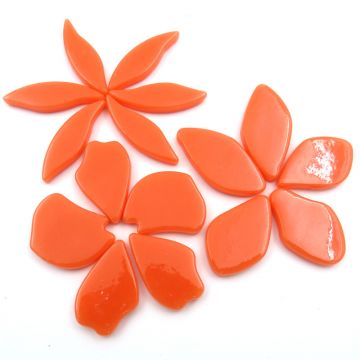 Fallen Petals: Mandarin 105
