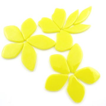 Fallen Petals: Acid Yellow 028