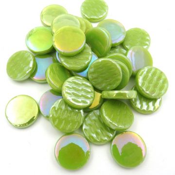 PR Pearlised Acid Green Bis91P: 100g